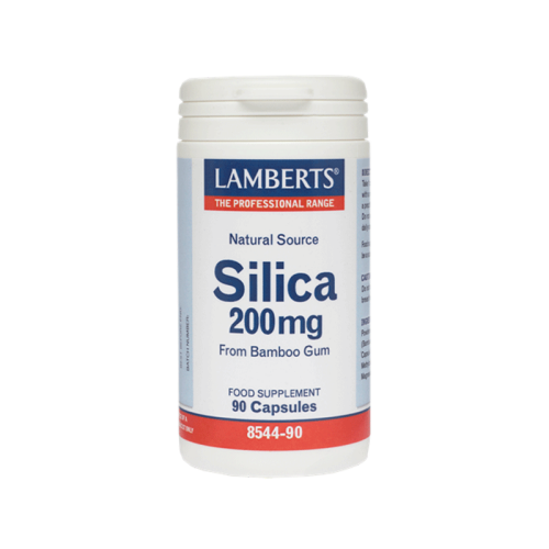 LAMBERTS SILICA 200MG